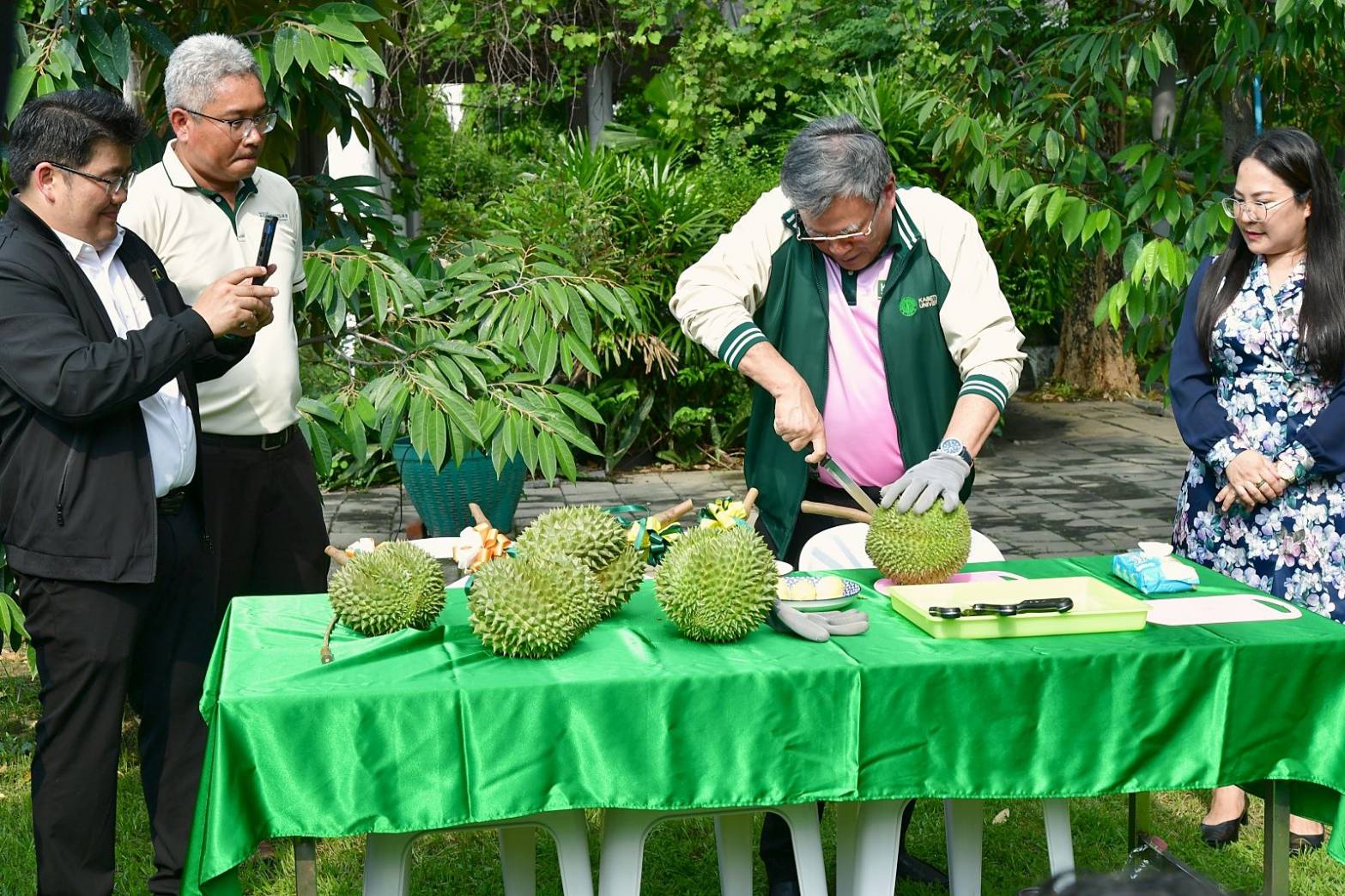 IMAGE - 6646